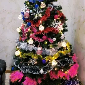 Yolka,Arca, Ёлка