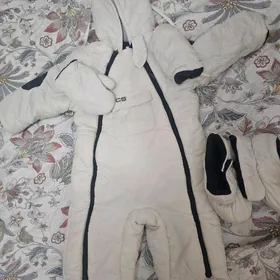 камбенизон