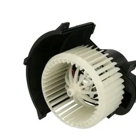 TOUAREG SALON WILTELYATOR