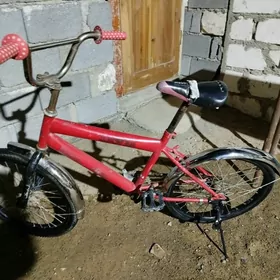 бравири спорт