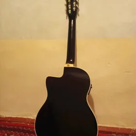 gitara elektra marsteve