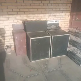 Той калонкалар