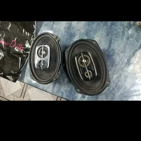 pioneer kalonka nikel