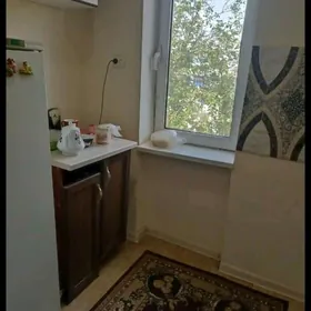 свобода высокопотолочка