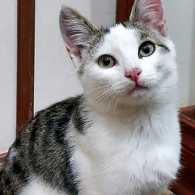 Малыш, 3 месяца