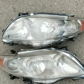 Fara Carolla 08/10 aralyk