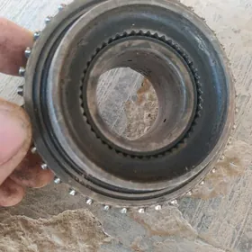 Kanter karopga saylary