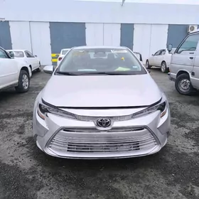 Toyota Corolla 2023