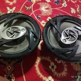 pionner kalonka arginal