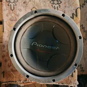 Pioneer bocka
