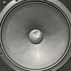 Apocalypse Silvester 81