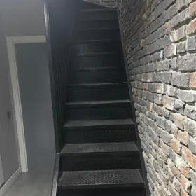 profil lesnisa demir