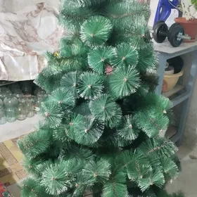 yolka taze ёлка ýolka