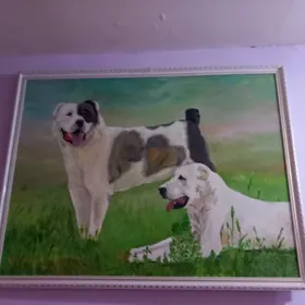 cekilen ramkalacekilen alabay