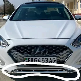 sonata 18 19 limited nikel