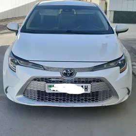 Toyota Corolla 2022