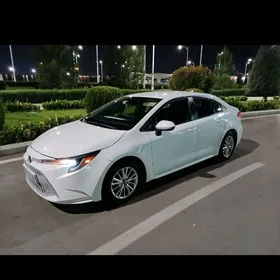 Toyota Corolla 2020