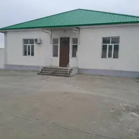 копетдагын ялкымы сатлык