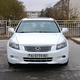 Honda Accord 2013