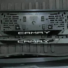 Подномерники