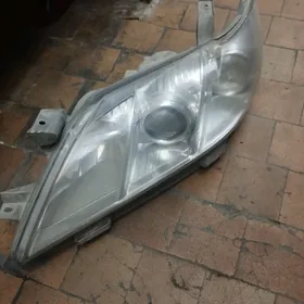 öküz kelle cep fara