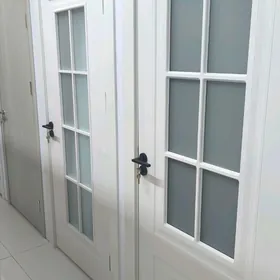 Mir 7 Yigit Gapy 12 ay garasar