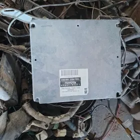 Duty awalon kampyuter