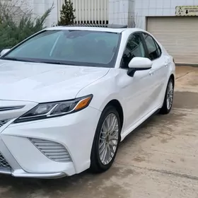 Toyota Camry 2020