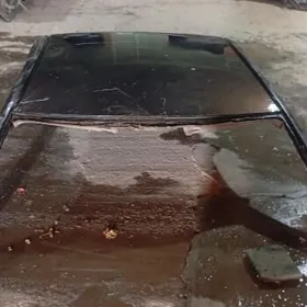 krysa duty awalon 2002/2004