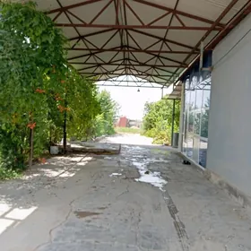 Ak bugday etrap 14 pemka jay