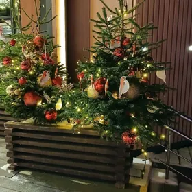 САНТЕХНИКИ И ЭЛЕКТРИКИ