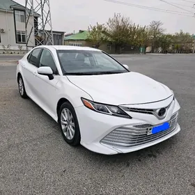 Toyota Camry 2020