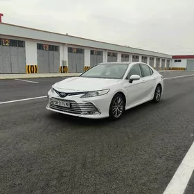 Toyota Camry 2020