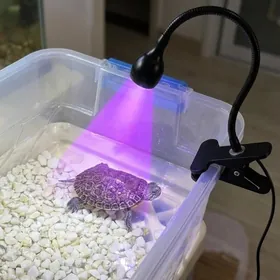 лампа для черепах