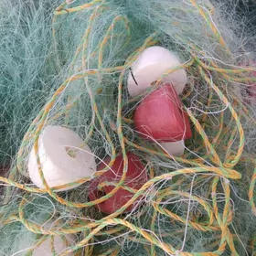 tor baraban krutilka