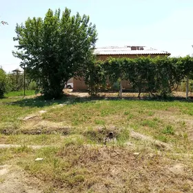 Дача Карамянск Санатория