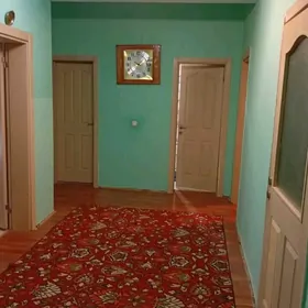 Бузмеин Тазе Ахал полуэлитка