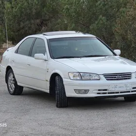 Toyota Camry 1999