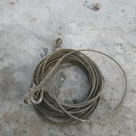 Russiski tros orginal