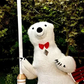 Ak ayy we Panda we Gorilla Tom