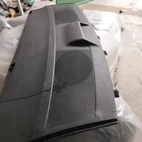 karolla izky tarpeda