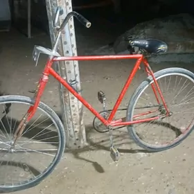 Ural tygyr  СССР