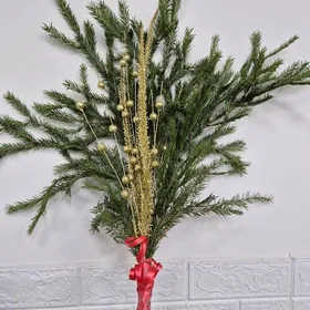 подарочный ел живой