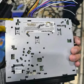 Pioner Karazera Arginal