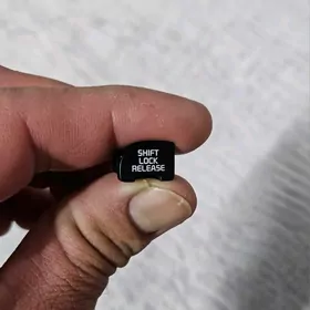 kia skoryñ yanynda duryan plas