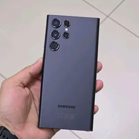 Samsung S22 Ultra. 12/256.wetn