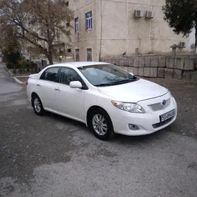 Toyota Corolla 2010