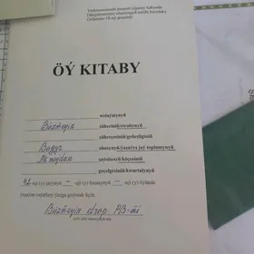 satlyk jaÿ bagyrda