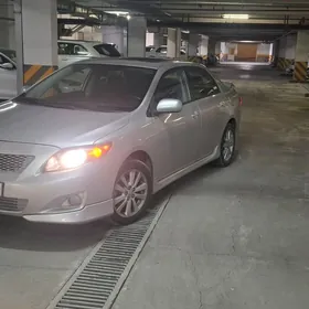 Toyota Corolla 2010