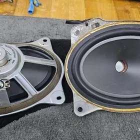 okuz kelle polka kalonka